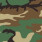 Woodland